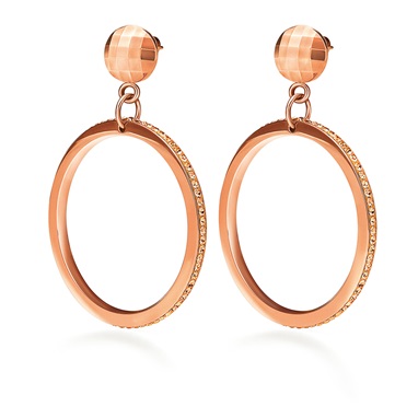 Image of  CLASSY EARRINGS
